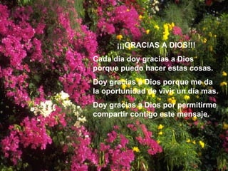 ¡¡¡GRACIAS A DIOS!!! Cada día doy gracias a Dios porque puedo hacer estas cosas. Doy gracias a Dios porque me da la oportunidad de vivir un día mas. Doy gracias a Dios por permitirme compartir contigo este mensaje. 
