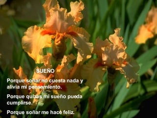 SUEÑO Porque soñar no cuesta nada y alivia mi pensamiento. Porque quizás mi sueño pueda cumplirse. Porque soñar me hace feliz. 