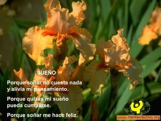 SUEÑO
Porque soñar no cuesta nada
y alivia mi pensamiento.
Porque quizás mi sueño
pueda cumplirse.
Porque soñar me hace feliz.
 