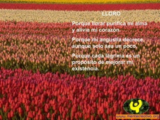 LLORO
Porque llorar purifica mi alma
y alivia mi corazón.
Porque mi angustia decrece,
aunque solo sea un poco.
Porque cada lágrima es un
propósito de mejorar mi
existencia.
 