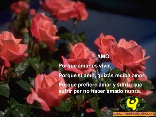 AMO
Porque amar es vivir.
Porque si amo, quizás reciba amor.
Porque prefiero amar y sufrir, que
sufrir por no haber amado nunca.
 