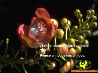 ¡Sonrío, sueño, lloro, comparto,
vivo!
Pienso en todos mis amigos.
 