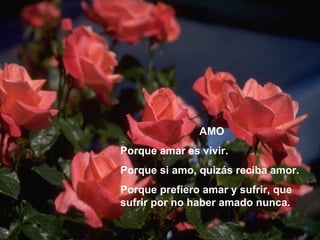 AMO
Porque amar es vivir.
Porque si amo, quizás reciba amor.
Porque prefiero amar y sufrir, que
sufrir por no haber amado nunca.