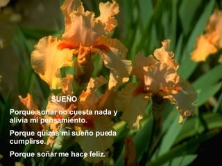 SUEÑO Porque soñar no cuesta nada y alivia mi pensamiento. Porque quizás mi sueño pueda cumplirse. Porque soñar me hace feliz. 