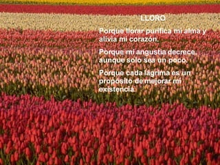 LLORO Porque llorar purifica mi alma y alivia mi corazón. Porque mi angustia decrece, aunque solo sea un poco. Porque cada lágrima es un propósito de mejorar mi existencia. 