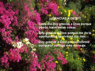 ¡¡¡GRACIAS A DIOS!!! Cada día doy gracias a Dios porque puedo hacer estas cosas. Doy gracias a Dios porque me da la oportunidad de vivir un día más. Doy gracias a Dios por permitirme compartir contigo este mensaje. 