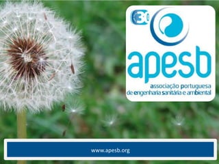 www.apesb.org  