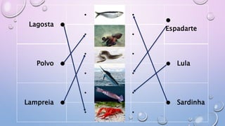 Lagosta ●
● ●
●
Espadarte
● ●
Polvo ●
● ●
● Lula
● ●
Lampreia ●
● ●
● Sardinha
● ●
 