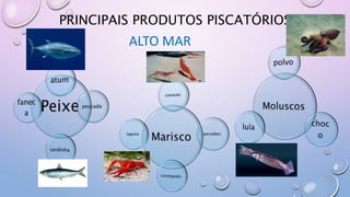 PRINCIPAIS PRODUTOS PISCATÓRIOS
ALTO MAR
 