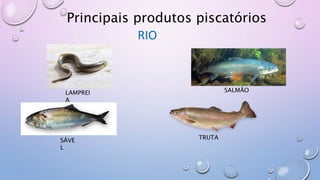 LAMPREI
A
Principais produtos piscatórios
RIO
SALMÃO
TRUTASÁVE
L
 