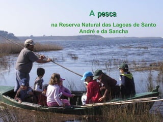 A pesca na Reserva Natural das Lagoas de Santo André e da Sancha A  pesca  na Reserva Natural das Lagoas de Santo André e da Sancha 