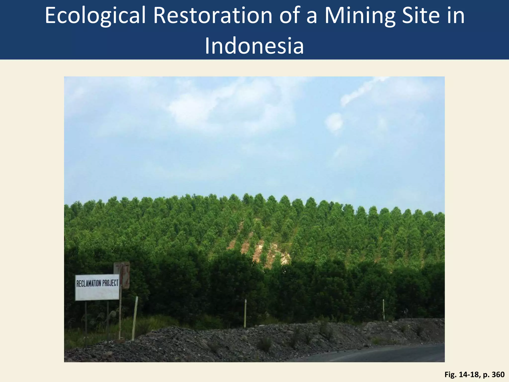 Ecological Restoration of a Mining Site in
Indonesia
Fig. 14-18, p. 360
 