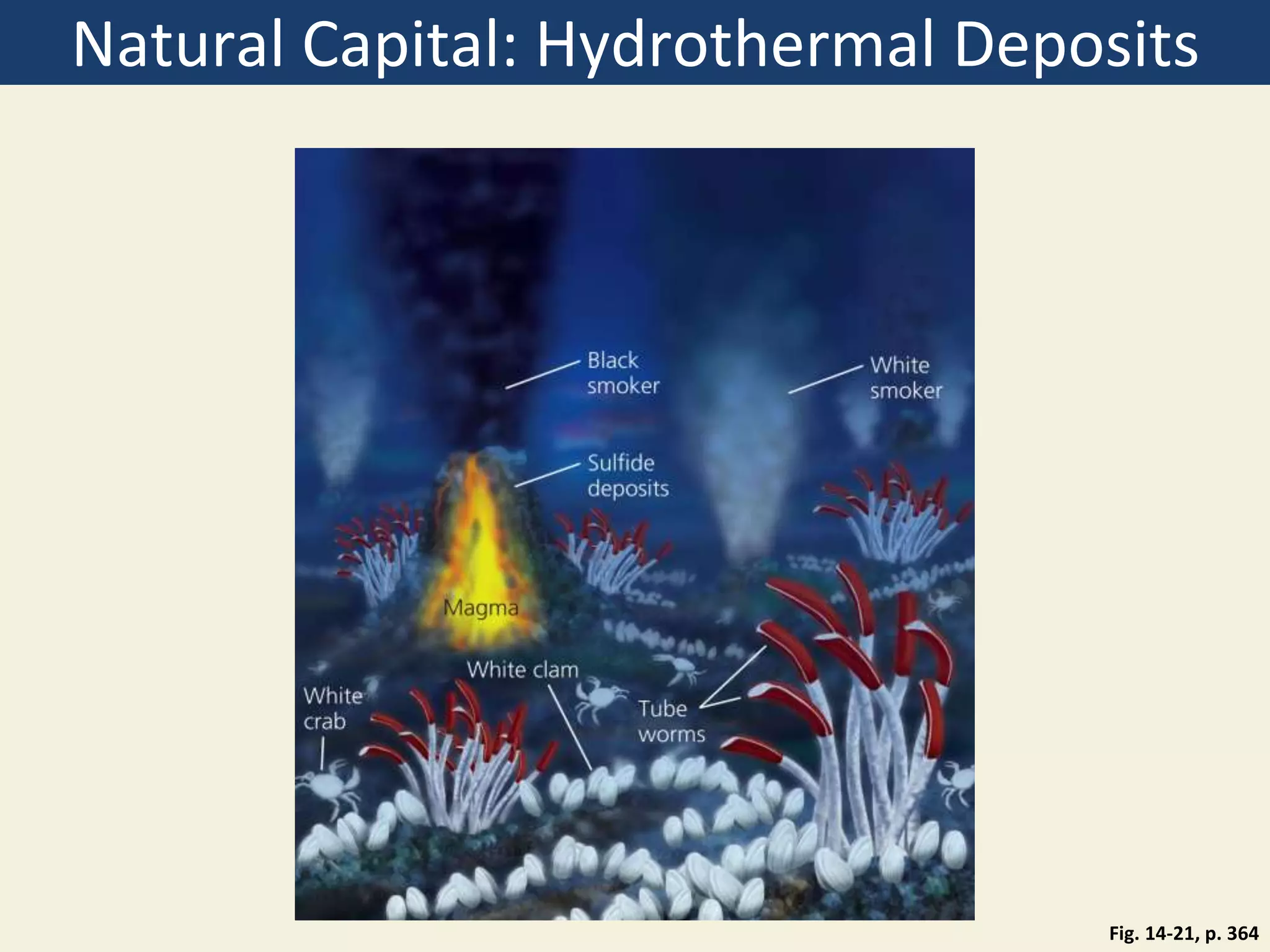 Natural Capital: Hydrothermal Deposits
Fig. 14-21, p. 364
 