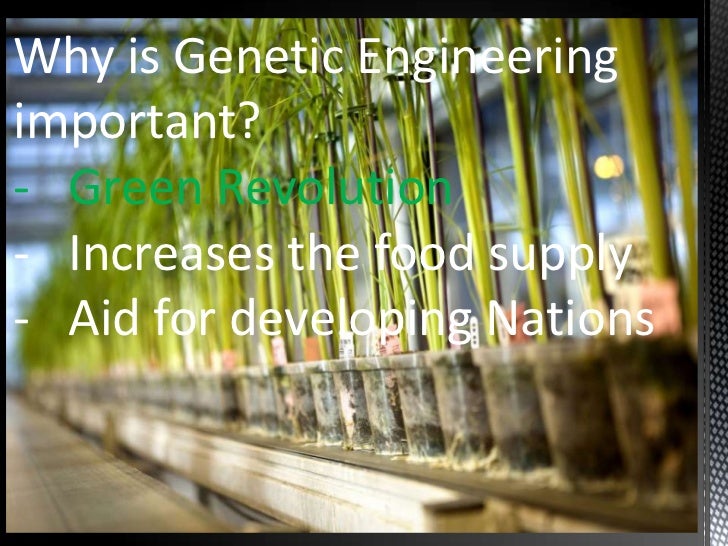 Is Genetic Engineering Of Food Crops Good Or Bad Is Genetic Engineering Of Food Crops Good Or Bad