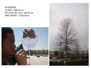 20 DEGREES  13 FEET = 396.24 cm EYE LEVEL 66 ½ IN = 168.91 cm TREE HEIGHT = 1256.91cm 