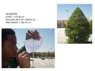 20 DEGREES  4 FEET = 121.92 cm EYE LEVEL 66 ½ IN = 168.91 cm TREE HEIGHT = 334.97 cm 