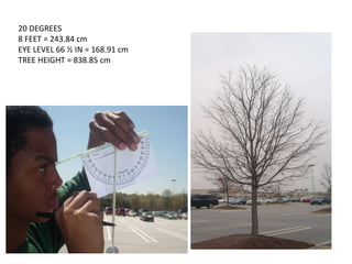 20 DEGREES  8 FEET = 243.84 cm EYE LEVEL 66 ½ IN = 168.91 cm TREE HEIGHT = 838.85 cm 