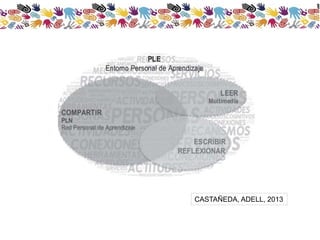 CASTAÑEDA, ADELL, 2013 
 