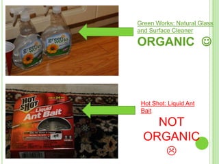 Green Works: Natural Glass
and Surface Cleaner

ORGANIC 



 Hot Shot: Liquid Ant
 Bait

    NOT
  ORGANIC
     
 