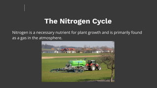 The Nitrogen Cycle
Nitrogen is a necessary nutrient for plant growth and is primarily found
as a gas in the atmosphere.
 