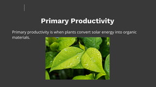 Primary Productivity
Primary productivity is when plants convert solar energy into organic
materials.
 