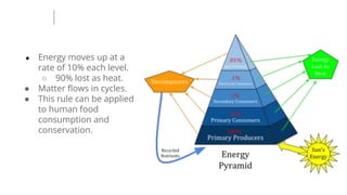 ● Energy moves up at a
rate of 10% each level.
○ 90% lost as heat.
● Matter ﬂows in cycles.
● This rule can be applied
to human food
consumption and
conservation.
 