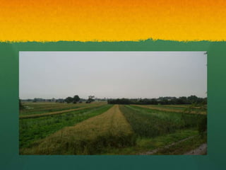 Sustainable Agriculture | PPTX