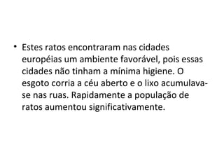 • Estes ratos encontraram nas cidades
européias um ambiente favorável, pois essas
cidades não tinham a mínima higiene. O
esgoto corria a céu aberto e o lixo acumulava-
se nas ruas. Rapidamente a população de
ratos aumentou significativamente.
 