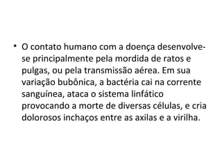 • O contato humano com a doença desenvolve-
se principalmente pela mordida de ratos e
pulgas, ou pela transmissão aérea. Em sua
variação bubônica, a bactéria cai na corrente
sanguínea, ataca o sistema linfático
provocando a morte de diversas células, e cria
dolorosos inchaços entre as axilas e a virilha.
 