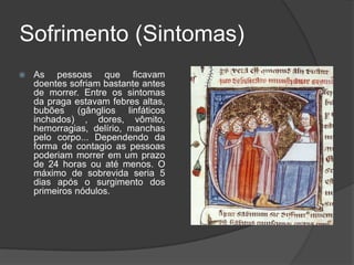 O rato preto foi bastante importante para difusão da peste por seus hábitos mais domesticados. 