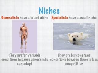 Niches
Generalists have a broad niche Specialists have a small niche




    They prefer variable           They prefer constant
conditions because generalists conditions because there is less
          can adapt                     competition
 