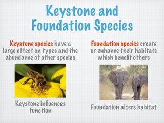 Keystone and
          Foundation Species
   Keystone species have a      Foundation species create
large effect on types and the   or enhance their habitats
 abundance of other species        which beneﬁt others




    Keystone inﬂuences
                                Foundation alters habitat
         function
 