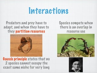 Interactions
 Predators and prey have to        Species compete when
adapt, and when they have to       there is an overlap in
  they partition resources              resource use




Gauss's principle states that no
 2 species cannot occupy the
exact same niche for very long
 