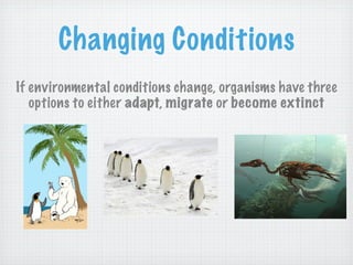 Changing Conditions
If environmental conditions change, organisms have three
   options to either adapt, migrate or become extinct
 