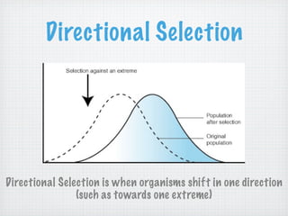 Directional Selection




Directional Selection is when organisms shift in one direction
                (such as towards one extreme)
 