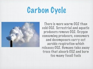 Carbon Cycle
      There is more warm CO2 than
    cold CO2. Terrestrial and aquatic
      producers remove CO2. Oxygen
    consuming producers, consumers
       and decomposers carry out
        aerobic respiration which
    releases CO2. Humans take away
     trees that absorb CO2 and burn
          too many fossil fuels
 