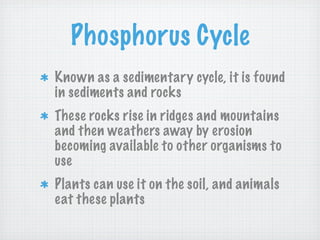 Phosphorus Cycle
Known as a sedimentary cycle, it is found
in sediments and rocks
These rocks rise in ridges and mountains
and then weathers away by erosion
becoming available to other organisms to
use
Plants can use it on the soil, and animals
eat these plants
 