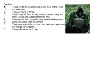 Gorillas1.	These are forest-dwellers and spend most of their lives on 	the forest floor. 2.	They are found in Africa.3.	They forage for food, mostly eating a type of celery and 	many leaves and shoots rather than fruit.4.	They are nomadic, travelling daily to new feeding areas in 	groups of about 12 to 20 animals.5.	They show sexual dimorphism: the males are bigger and 	have large canine teeth.6.	They make nests each night.