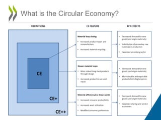What is the Circular Economy?
 