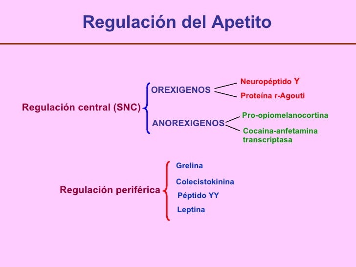 Grelina y obesidad Grelina y obesidad