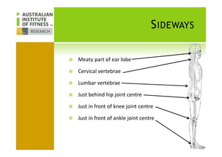 SIDEWAYS
Meaty part of ear lobe
Cervical vertebrae
Lumbar vertebrae
Just behind hip joint centre
Just in front of knee joint centre
Just in front of ankle joint centre
 