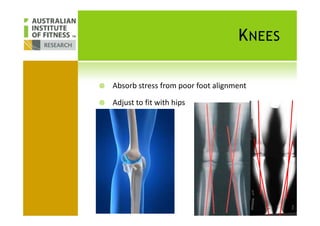 KNEES
Absorb stress from poor foot alignment
Adjust to fit with hips
 