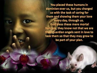 A pet's prayer