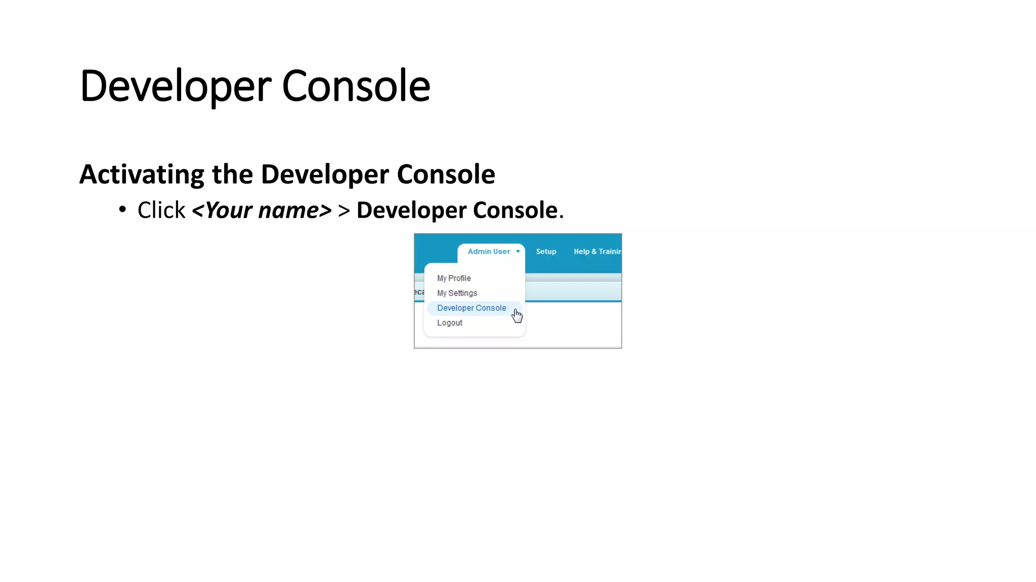 Developer Console
Activating the Developer Console
• Click <Your name> > Developer Console.
 