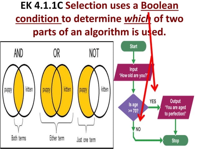 Ap exam big idea 4 algorithms | PPTX