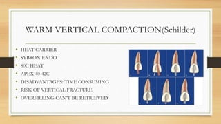 Apex and its significance in endodontics | PPTX