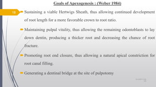 Goals of Apexogenesis : (Weber 1984)
Sustaining a viable Hertwigs Sheath, thus allowing continued development
of root length for a more favorable crown to root ratio.
Maintaining pulpal vitality, thus allowing the remaining odontoblasts to lay
down dentin, producing a thicker root and decreasing the chance of root
fracture.
Promoting root end closure, thus allowing a natural apical constriction for
root canal filling.
Generating a dentinal bridge at the site of pulpotomy
18
10/12/2017 4:59
AM
 