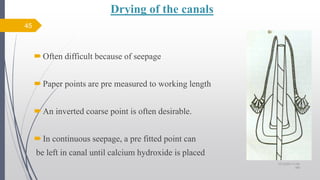 Drying of the canals
Often difficult because of seepage
Paper points are pre measured to working length
An inverted coarse point is often desirable.
In continuous seepage, a pre fitted point can
be left in canal until calcium hydroxide is placed
45
10/12/2017 4:59
AM
 