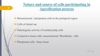 Nature and source of cells participating in
Apexification process
Mesenchymal / pluripotent cells in the periapical region
Cells of dental sac
Odontogenic activity of residual pulp cells
Connective tissue cells- mesenchymal /fibroblastic cells
Pluripotent cells –bone tissue
54
10/12/2017 4:59
AM
 