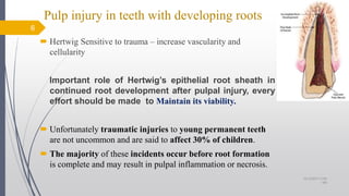  Hertwig Sensitive to trauma – increase vascularity and
cellularity
Important role of Hertwig’s epithelial root sheath in
continued root development after pulpal injury, every
effort should be made to Maintain its viability.
 Unfortunately traumatic injuries to young permanent teeth
are not uncommon and are said to affect 30% of children.
 The majority of these incidents occur before root formation
is complete and may result in pulpal inflammation or necrosis.
6
Pulp injury in teeth with developing roots
10/12/2017 4:59
AM
 